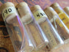 Watch Vials - Glass bottles-  Vintage - y11